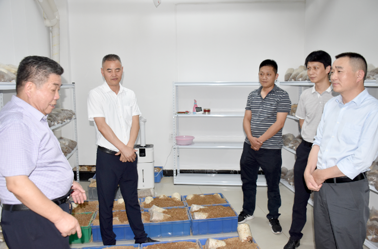 爱游戏电竞app:青岛金三阳获得用于包芯纱出产的改进型倍捻机专利防止包芯纱在捻线辊上产生卡线现象